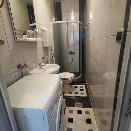 Apartment Dozic *